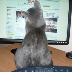 Meet your Posher, Pat